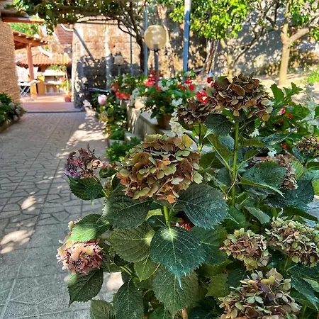 La Natura - 4 Guests *